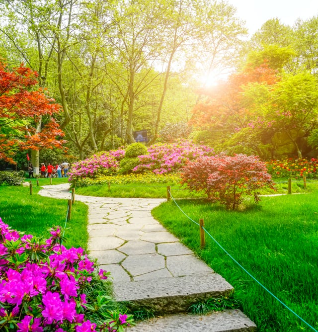 Image d'un parc verdoyant et luxuriant, doté d'un jardin florissant, entretenu avec Agri-Ozmoz, un hydro-rétenteur naturel. Les arbres, plantes et fleurs bien développés témoignent de l'efficacité de ce produit pour la gestion de la sécheresse en entretien des espaces verts. L'utilisation d'Agri-Ozmoz a permis au parc et au jardin de bénéficier d'une irrigation durable et réduite, ce qui favorise une croissance optimale des végétaux tout en conservant l'eau. Cette illustration représente l'impact positif d'Agri-Ozmoz sur les parcs et jardins urbains, et souligne la nécessité d'innover pour préserver l'environnement et entretenir de manière responsable les espaces verts en milieu urbain.